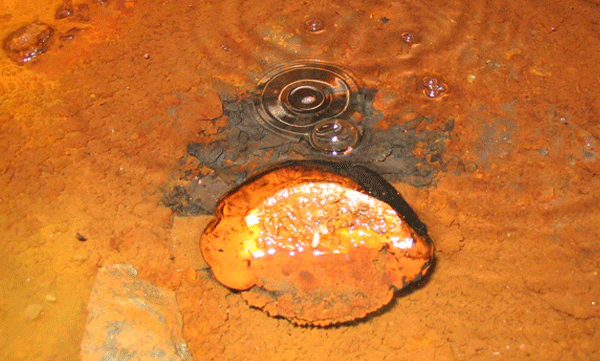 what-is-the-taste-of-two-billion-years-old-water-which-was-found-three-kms-beneath-earth