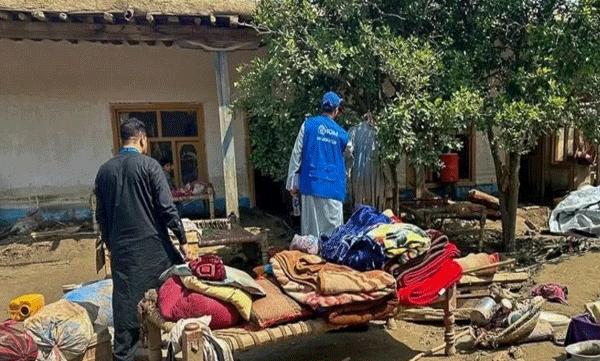 Afghanistan earthquake: Death toll rises to 800