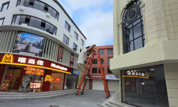 supermarket-spa-subway-youtuber-sets-up-a-miniature-town-exclusively-for-cats-articleshow-