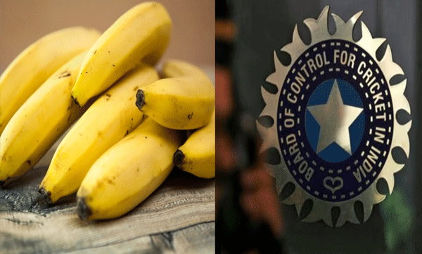 bcci-gets-highcourt-notice-regarding-food-expenses