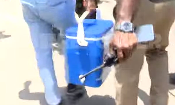 The heart of a Kollam native beats for the Angamaly native.