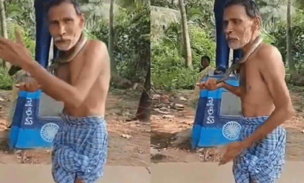 snake-around-neck-drunk-man-creates-chaos-viral-video