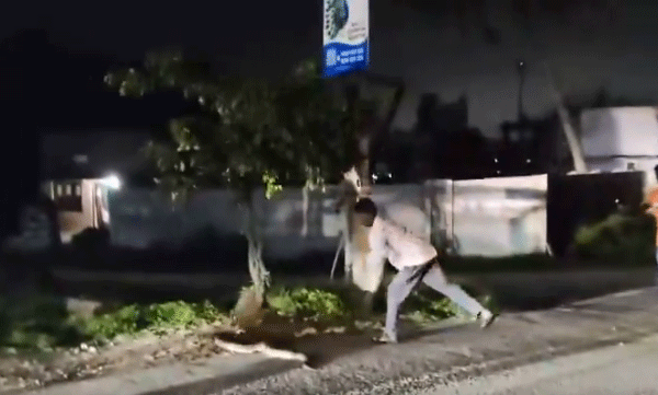 viral-video-man-trying-to-kill-giant-python-found-on-road-at-night