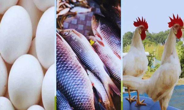 navratri-fish-meat-eggs-banned-in-two-districts-of-madhya-pradesh