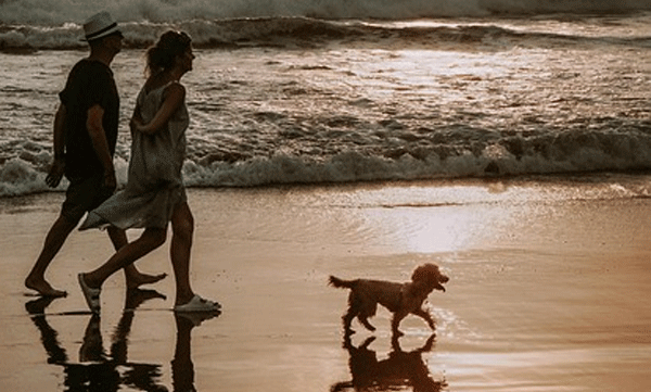 italian-city-is-introducing-a-tourist-tax-that-also-applies-to-dogs