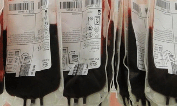 Blood and plasma stolen from Bhopal AIIMS blood bank; case registered against outsourced employee