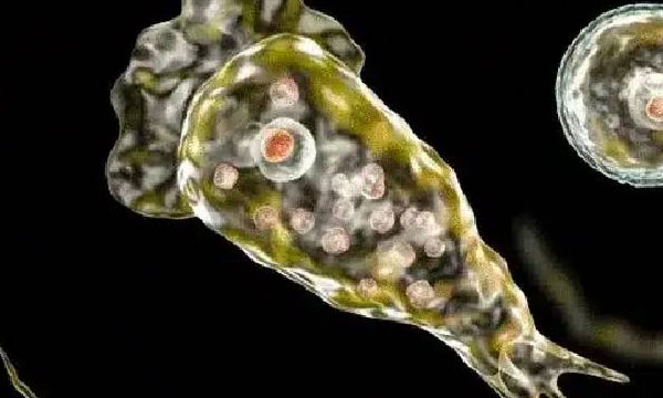 Amoebic encephalitis is another concern in the state; In eight days, 10 people were diagnosed with the disease