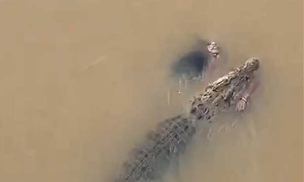 crocodile-attack-odisha