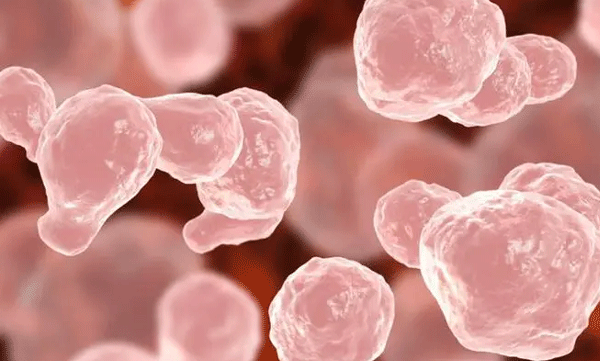 another-case-of-amoebic-meningoencephalitis-palakkad.