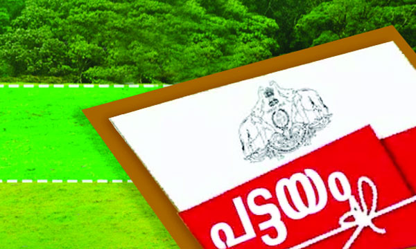 Government takes decisive decision on land titles in forest land irrespective of building area