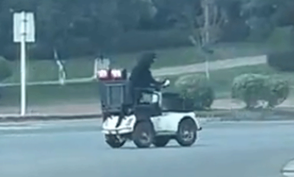 viral-video-dog-riding-scooter-on-busy-road
