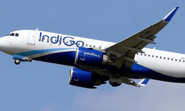 indian-man-stabbed-two-teens-with-fork-in-luftansa-flight-articleshow