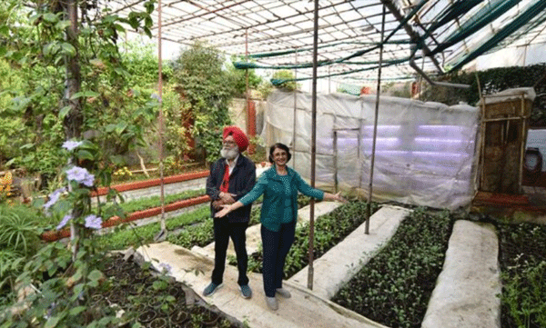 delhi-couple-green-paradise-sustainable-home