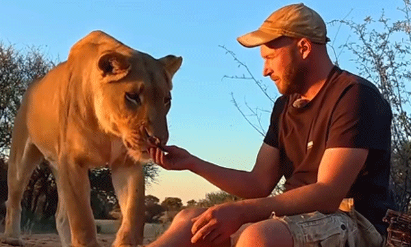 lion-man-friendship.