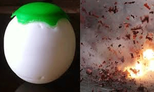 ice-cream-bomb-found-in-nileshwaram-kasaragod