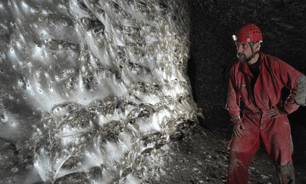 worlds-largest-spiderweb-housing-discovered-at-albanian-greek-border