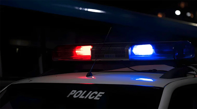  the accused in the fraud case escaped 