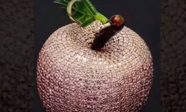 worlds-most-expensive-apple