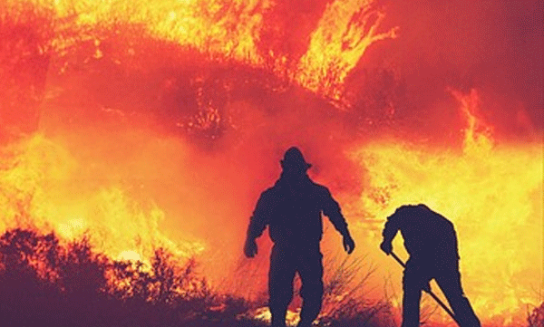 ai-images-natural-disasters