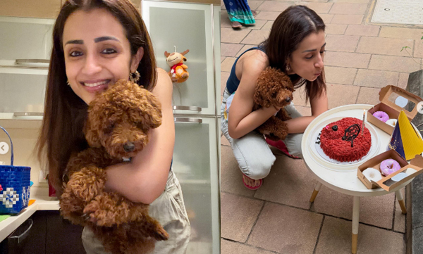 trisha-krishnan-pet-dog-birthday.