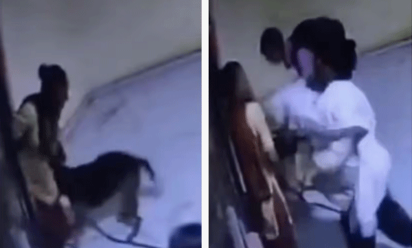 viral-video-woman-brutally-beaten-by-owner-after-being-bitten-by-pet-dog