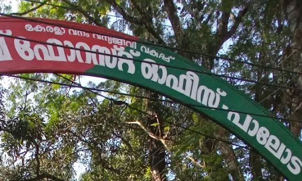 Missing forest department employees found after getting stuck while counting tigers