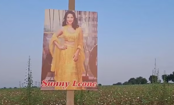 sunny-leone-evil-eye-cotton-fields