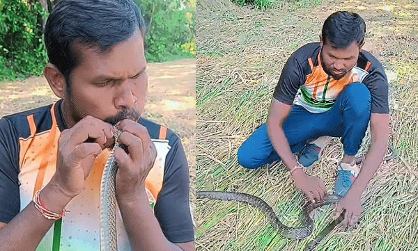 man-saves-electrocuted-snakes-life-with-mouth-to-mouth-cpr