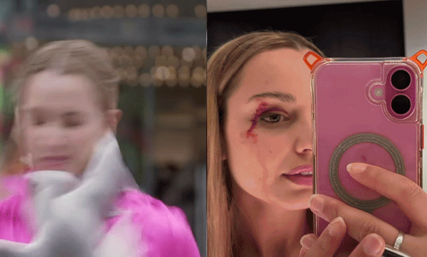 sea-gull-attack-reporter