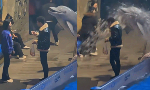 beluga-whale-splashes-smoker-at-china-aquarium-video-goes-viral