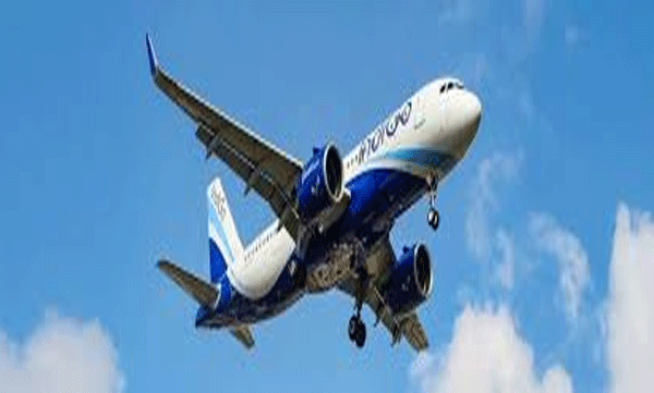 center-takes-action-against-indigo