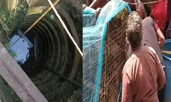 Five-year-old boy slips and falls into well while playing; miraculous escape by hanging from rope