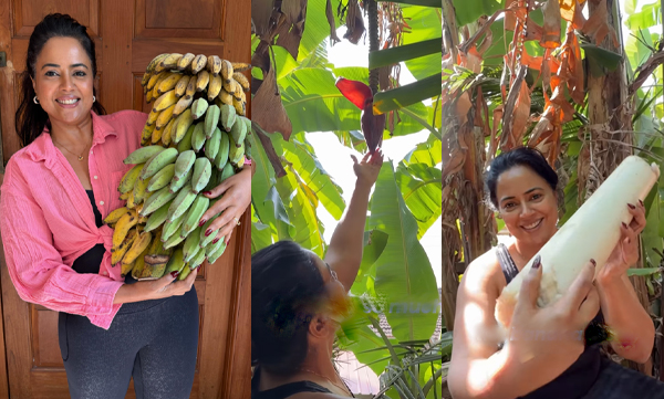 Sameera Reddy  revealed how long bananas actually take to ripen naturally 