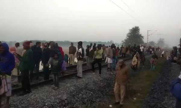 8 elephants killed as Rajdhani Express hits herd in Assam, 5 coaches derail