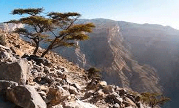 saiq-records-first-sub-zero-temperature-of-the-season