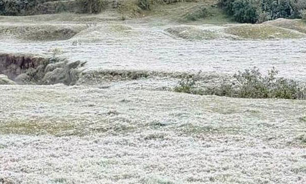 All the meadows turn white; Munnar receives snowfall, temperature drops below zero
