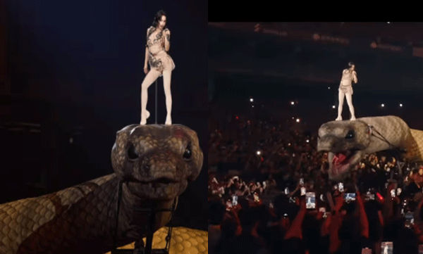 viral-video-taiwanese-star-jolin-tsai-dances-on-30-meter-long-giant-snake