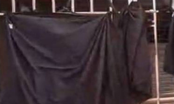 Christian churches and Christians strongly opposed; Controversial painting removed from Kochi Biennale