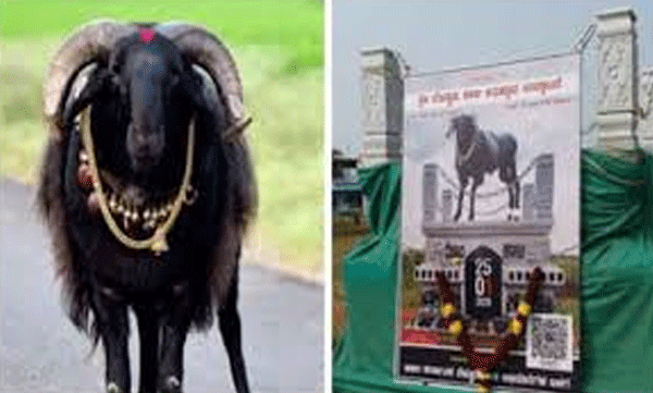 memorial-was-built-for-a-goat-at-a-cost-of-rs-9-lakh