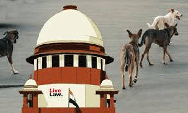 supreme-court-mocks-animal-lovers-again