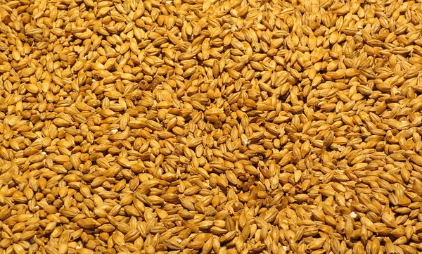 fiber-content-importance-in-your-diet