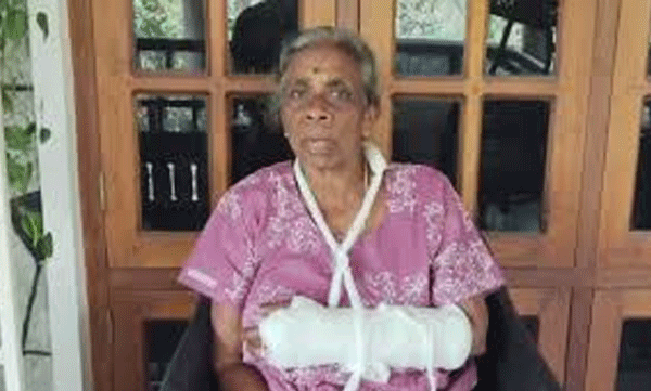 71-year-old-woman-slipped-in-private-bus-broken-arm-dropped-near-hospital