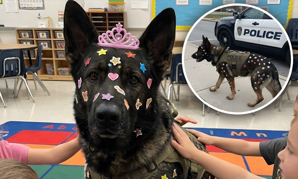 k9-sergeant-blitz-police-dog-with-star-stickers-kintergarten-career-day-viral