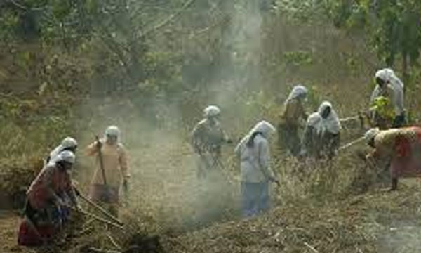 Rs 1000 crore for employment guarantee scheme; Rs 1 crore for pottery sector