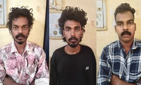 case-against-3-people-including-cpo-and-brother-for-assaulting-si