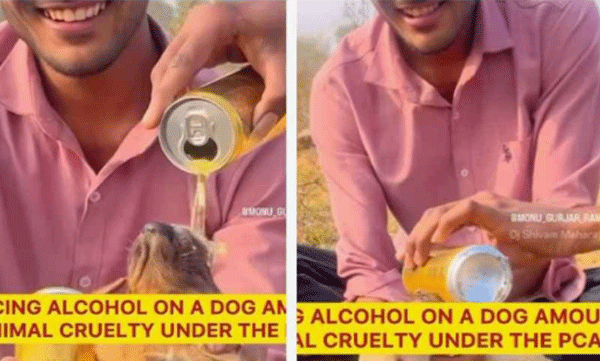 viral-video-demand-to-arrest-the-youths-who-forced-the-puppy-to-drink-alcohol