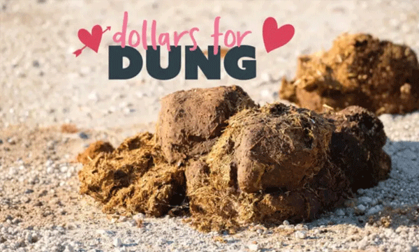 maryland-zoo-dollars-for-dung-ex-name-animal-waste-fundraiser-baltimore