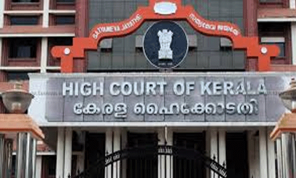 thodupuzha-man-death-road-pit-high-court-criticism