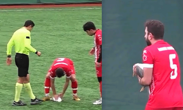 footballer-saves-seagull-with-cpr-after-ball-strike.html