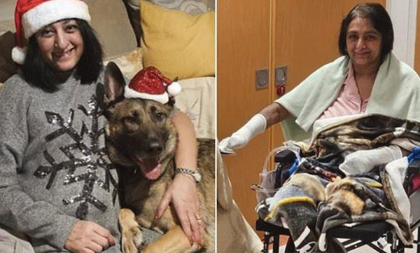 dog-lick-sepsis-amputation